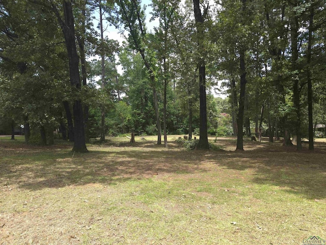 208 Mountain View Dr, Daingerfield, TX 75638 - photo 4