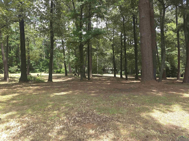 208 Mountain View Dr, Daingerfield, TX 75638 - photo 5