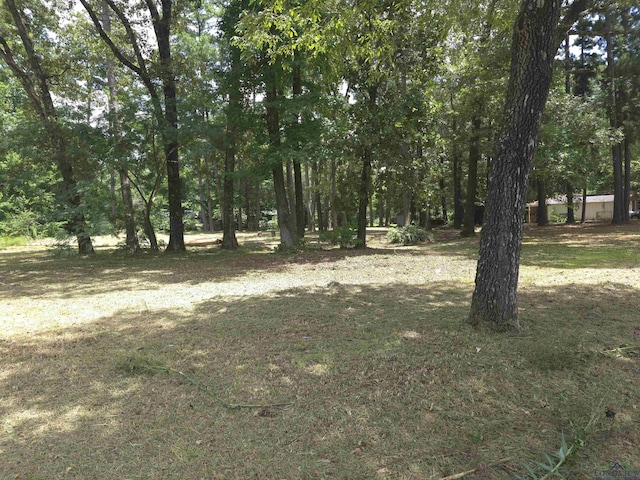208 Mountain View Dr, Daingerfield, TX 75638 - photo 6