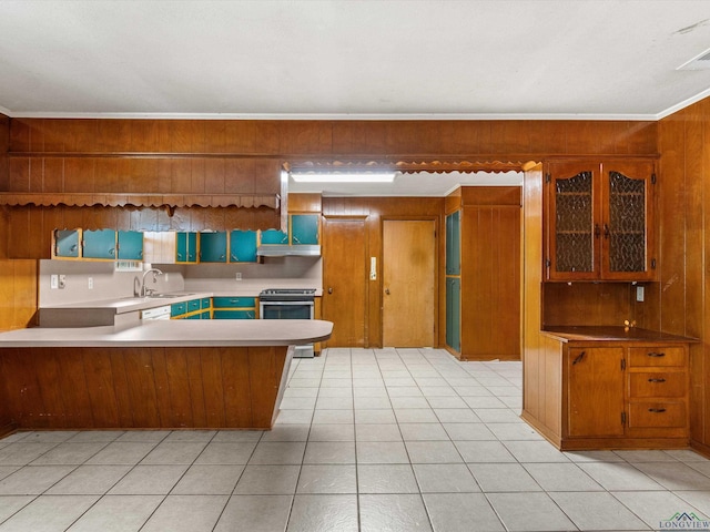 kitchen featuring stainless steel electric stove, sink, wooden walls, ornamental molding, and kitchen peninsula