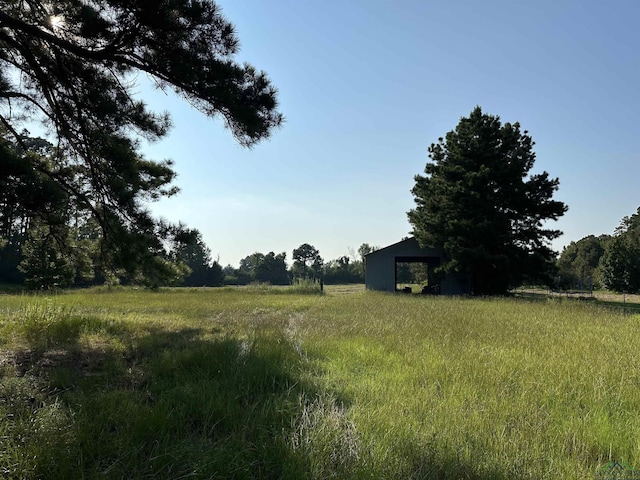 view of yard with a rural view