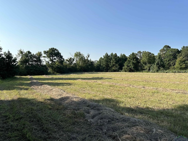 view of landscape with a rural view