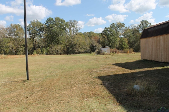 view of yard with a storage unit