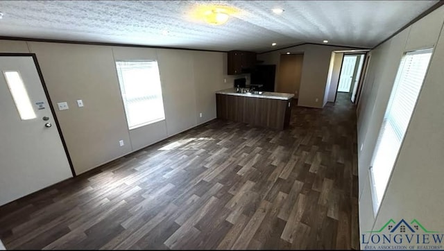 kitchen featuring a peninsula, light countertops, lofted ceiling, a healthy amount of sunlight, and dark wood-style flooring