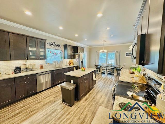 kitchen with a sink, light wood finished floors, dark brown cabinets, and appliances with stainless steel finishes