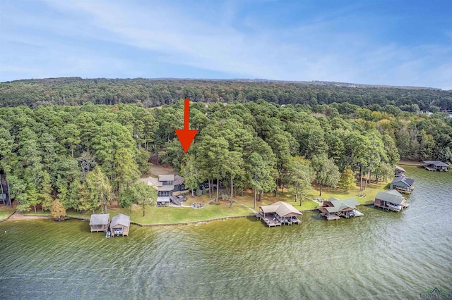 688 E Eagle Point Dr, Mount Vernon, TX 75457 - bird's eye view of a heavily wooded area and a large body of water