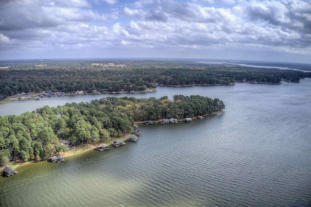 688 E Eagle Point Dr, Mount Vernon, TX 75457 - drone / aerial view of a forest and a nearby body of water
