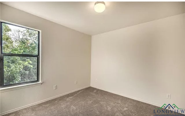 empty room featuring carpet