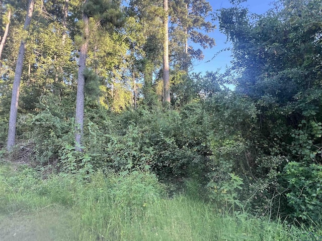 Listing photo 2 for TBD Applewood Trail, Gilmer TX 75645