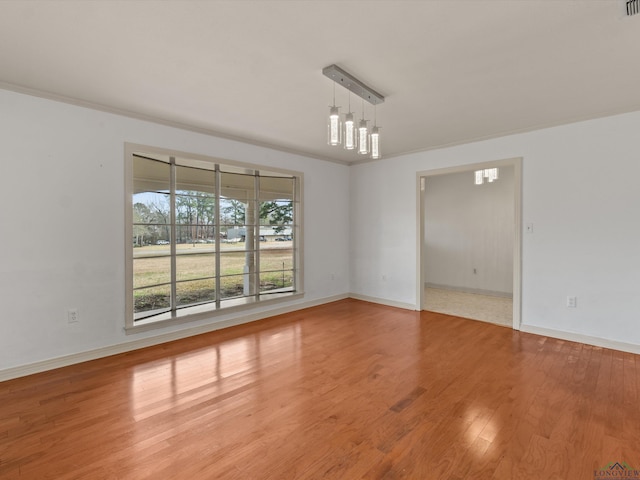 empty room with wood-type flooring