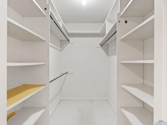 spacious closet featuring light carpet