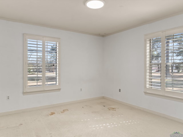 carpeted spare room featuring ornamental molding