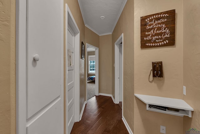 hallway with ornamental molding and dark wood-type flooring