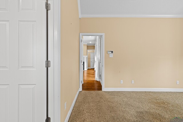 411 W Austin St, Jefferson, TX 75657 - photo 22
