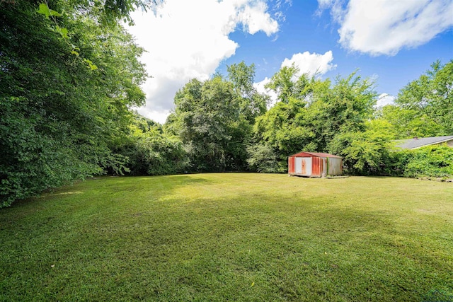 523 Molly Cir, Carthage, TX 75633 - view of grassy yard with a storage shed