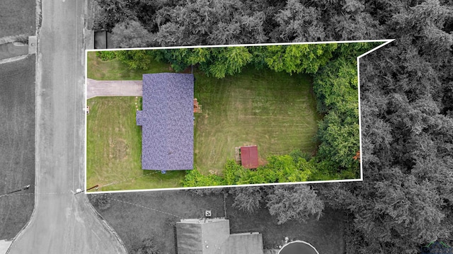 523 Molly Cir, Carthage, TX 75633 - aerial view of property's location with property parcel outlined