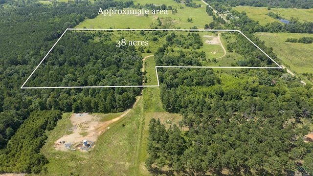 1329 County Road 4131, Henderson, TX 75652 - photo 3