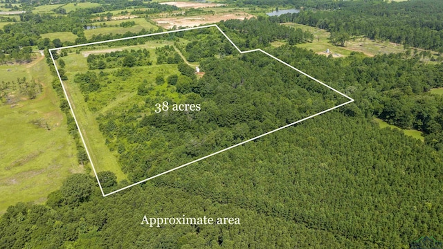 1329 County Road 4131, Henderson, TX 75652 - photo 2