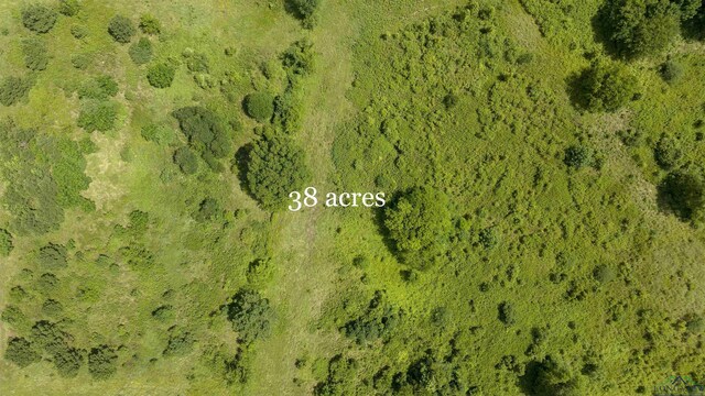 1329 County Road 4131, Henderson, TX 75652 - photo 11