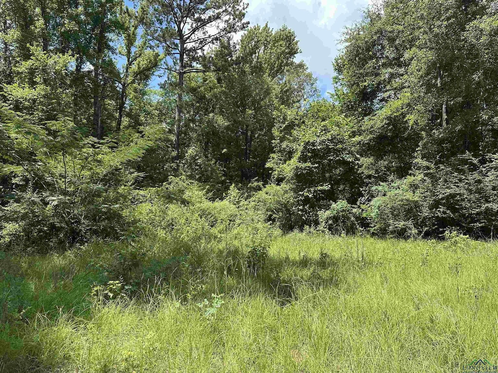804 Fox Hunting Rd, Elysian Fields, TX 75642 - photo 1