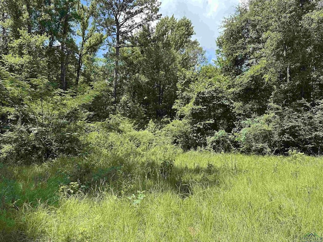 804 Fox Hunting Rd, Elysian Fields, TX 75642 - photo 1