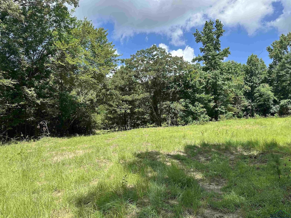 804 Fox Hunting Rd, Elysian Fields, TX 75642 - photo 2