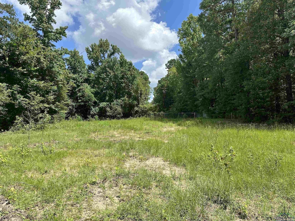 804 Fox Hunting Rd, Elysian Fields, TX 75642 - photo 3