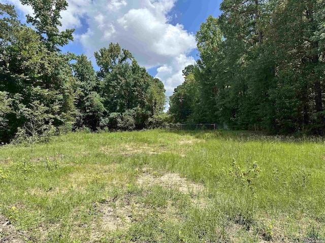 804 Fox Hunting Rd, Elysian Fields, TX 75642 - photo 3