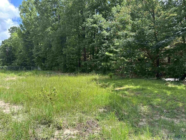 804 Fox Hunting Rd, Elysian Fields, TX 75642 - photo 4