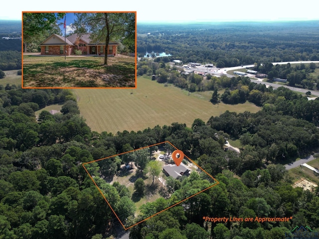 aerial view featuring a rural view and a wooded view