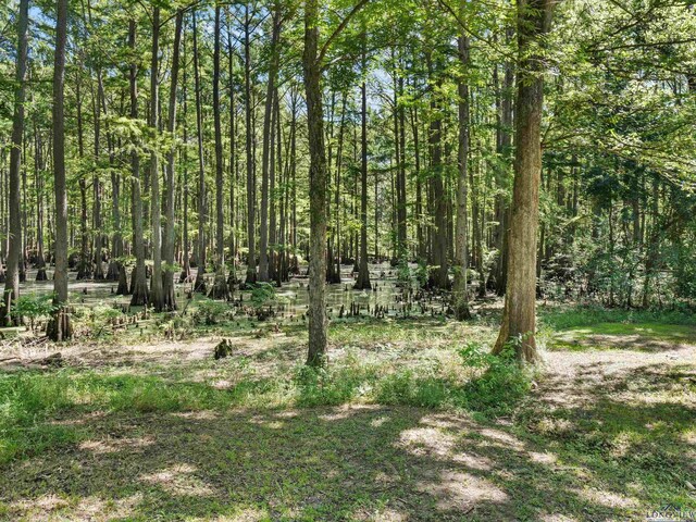 155 E Longs Cp, Karnack, TX 75661 - photo 25