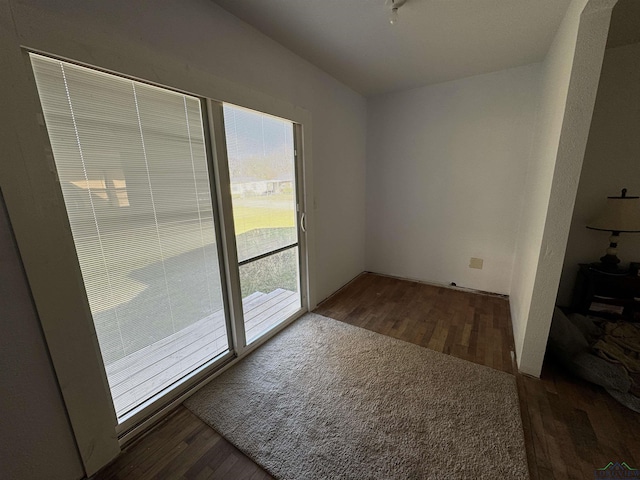 interior space featuring dark hardwood / wood-style floors