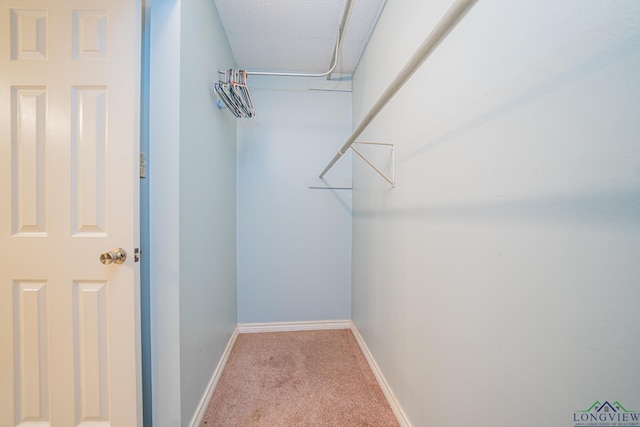 spacious closet featuring light colored carpet