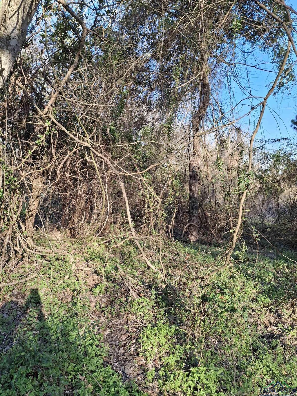 TBD County Road 476, Henderson, TX 75652 - photo 1