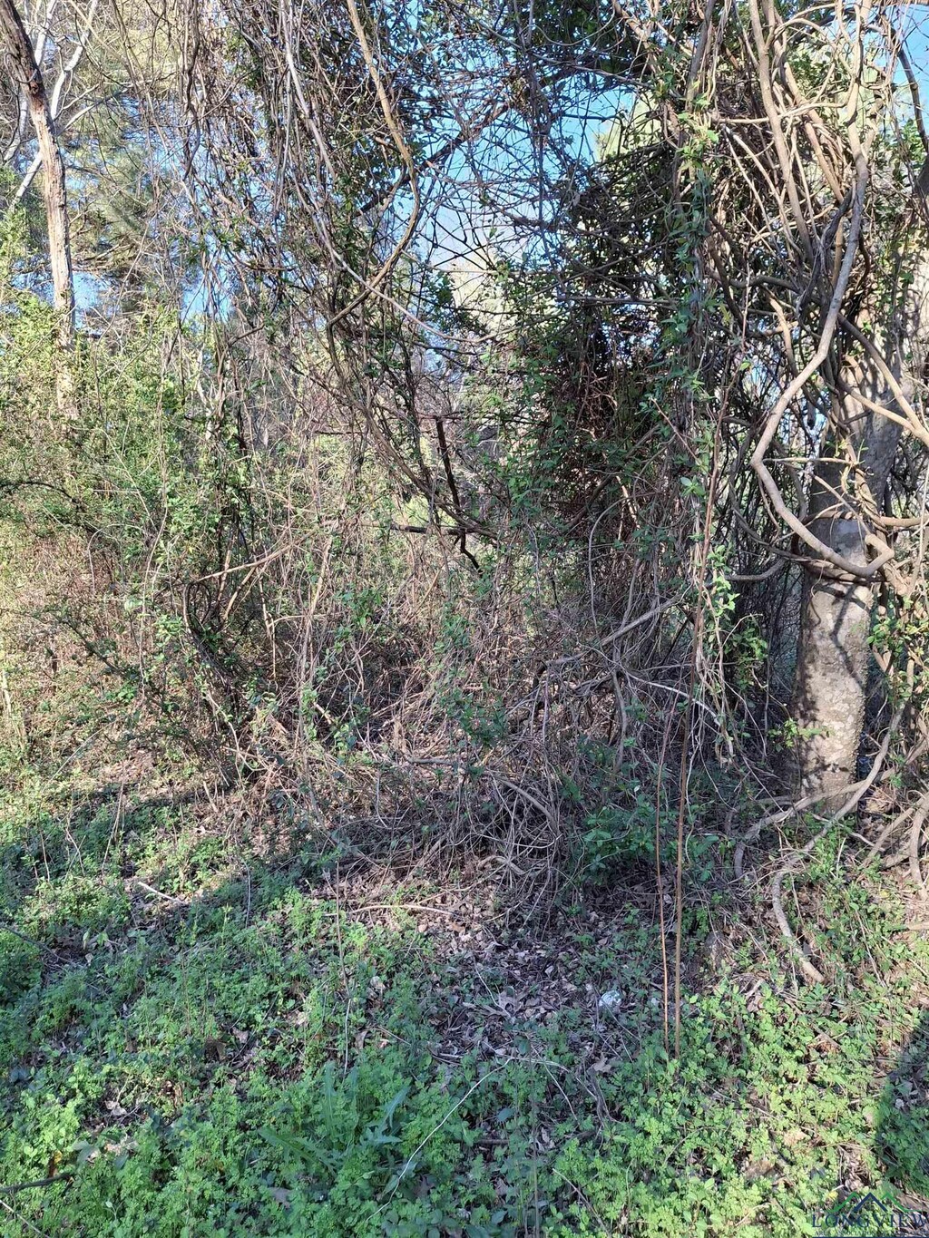TBD County Road 476, Henderson, TX 75652 - photo 2