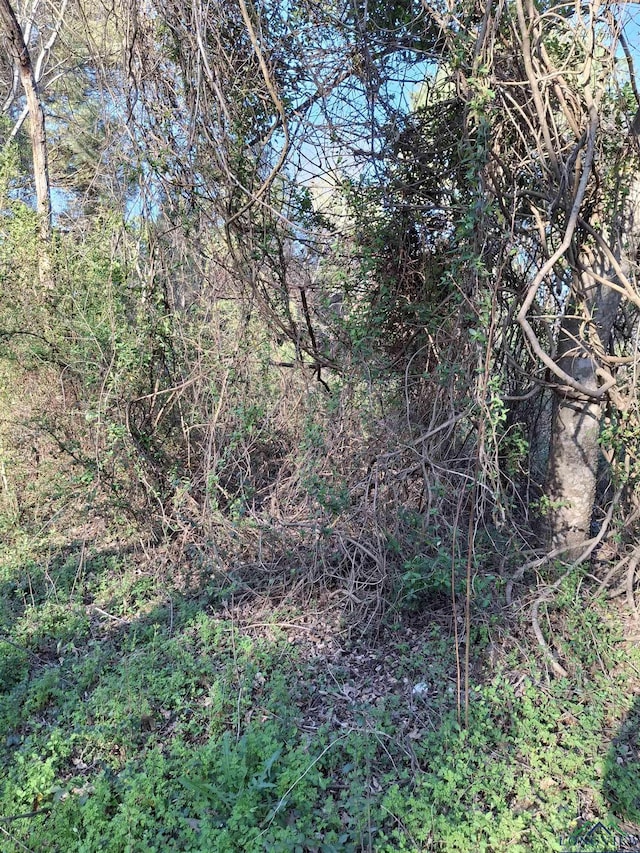 TBD County Road 476, Henderson, TX 75652 - photo 2