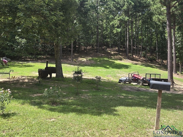 700 Deer Cove Rd, Avinger, TX 75630
