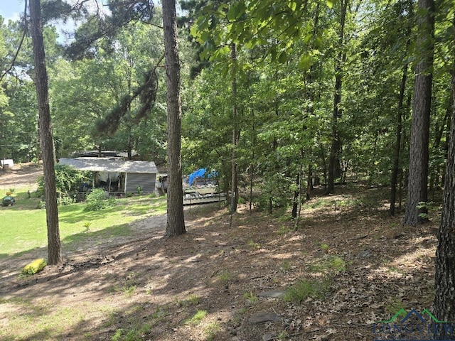 700 Deer Cove Rd, Avinger, TX 75630
