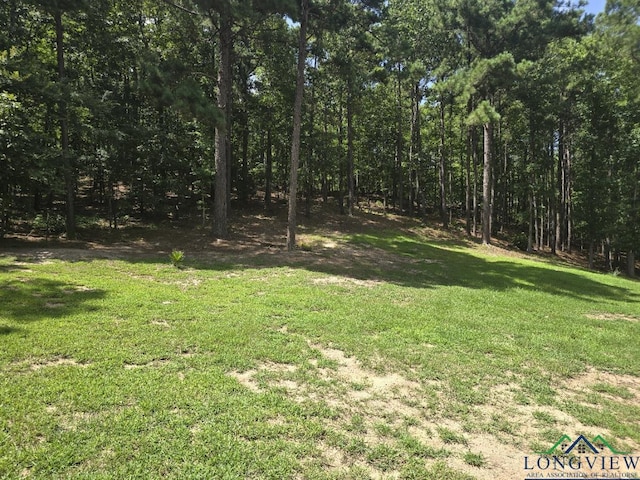 700 Deer Cove Rd, Avinger, TX 75630