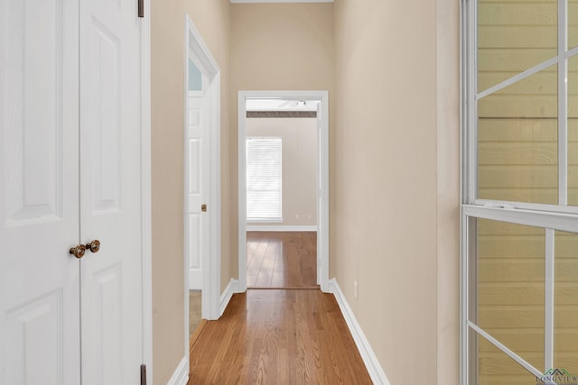 hall featuring light hardwood / wood-style flooring