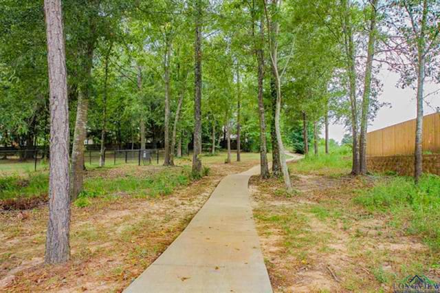 2131 Page Creek Trl, Longview, TX 75601 - view of community