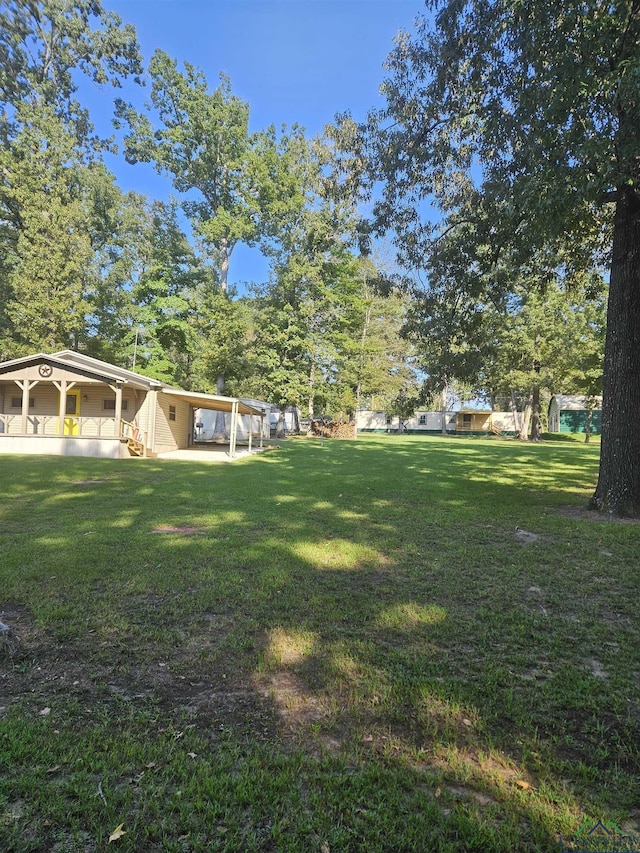 view of yard featuring a carport