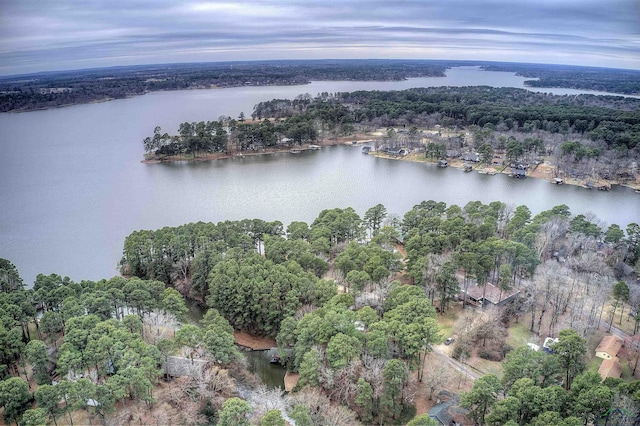 birds eye view of property with a water view and a wooded view