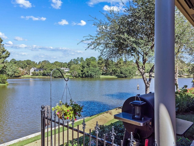 view of water feature