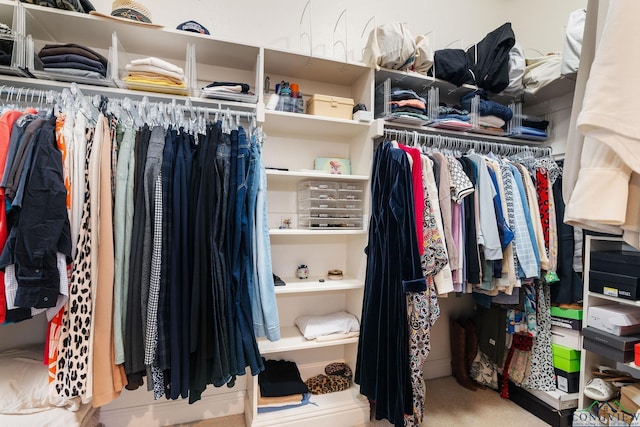 view of spacious closet