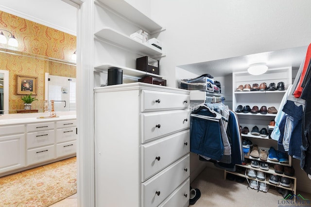 view of spacious closet