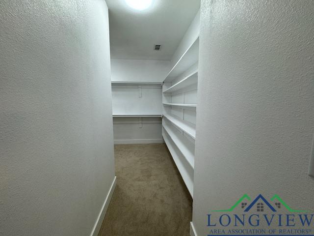 walk in closet featuring carpet flooring