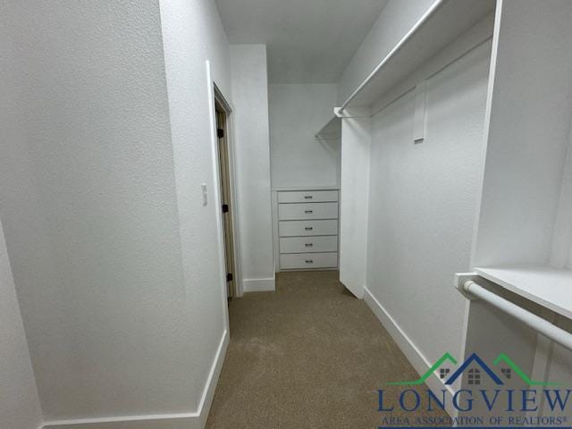 walk in closet with carpet floors