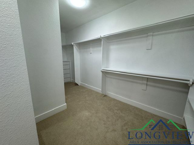 spacious closet featuring light carpet