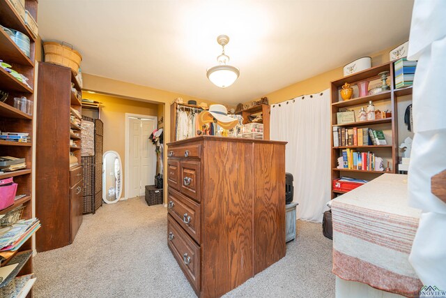 office space featuring light colored carpet